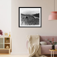 Historic Framed Print, Na chastnykh gonkakh. [Rossiiskaia imperiia],  17-7/8" x 21-7/8"