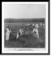 Historic Framed Print, Making hay in Russia,  17-7/8" x 21-7/8"