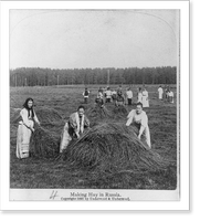 Historic Framed Print, Making hay in Russia,  17-7/8" x 21-7/8"