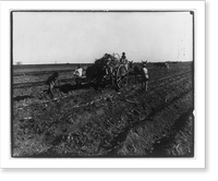 Historic Framed Print, [Planting sugar cane in Louisiana] - 2,  17-7/8" x 21-7/8"