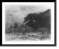 Historic Framed Print, [Landscape with sheep in an orchard],  17-7/8" x 21-7/8"