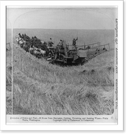 Historic Framed Print, Evolution of sickle and flail - 33 horse team harvester, cutting, threshing and sacking wheat, Walla Walla, Washington - 2,  17-7/8" x 21-7/8"