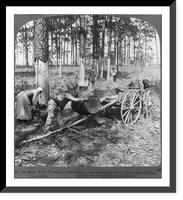 Historic Framed Print, In the great pine forests of the South - gathering crude turpentine - North Carolina,  17-7/8" x 21-7/8"