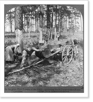 Historic Framed Print, In the great pine forests of the South - gathering crude turpentine - North Carolina,  17-7/8" x 21-7/8"