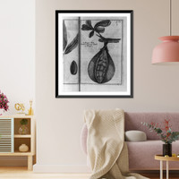Historic Framed Print, Mapou Pear",  Brazil",  17-7/8" x 21-7/8"