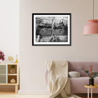 Historic Framed Print, Thlinget Packing Co. trap no. 7, Aug. 2, 1907: Lifting trap before brailing salmon onto scow (36,000 salmon in trap),  17-7/8" x 21-7/8"
