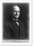Historic Framed Print, William Jennings Bryan, 1860-1925 - 3,  17-7/8" x 21-7/8"