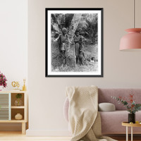 Historic Framed Print, New Hebrides old woman, woman and two children,  17-7/8" x 21-7/8"