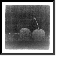 Historic Framed Print, Cerises,  17-7/8" x 21-7/8"