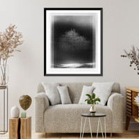 Historic Framed Print, Sciete Drzewo III,  17-7/8" x 21-7/8"