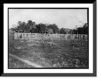 Historic Framed Print, Country cemetery [Dominican Republic],  17-7/8" x 21-7/8"