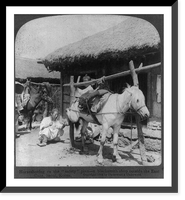 Horseshoeing on the safety" plan - a blacksmith shop outside the East Gate, Seoul, Korea" - 2, Vintage Wall Art