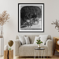 One of the richly decorated donkey and pleasure carts of Palermo, Sicily, Vintage Print