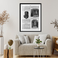 4 cuts of Powell's cremation illusion, Antique Print