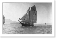 GUALALA (schooner), 4th of July regatta, San Francisco, Calif. Classic, Vintage Poster