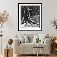 Historic Framed Print, Winter in the forest,  17-7/8" x 21-7/8"