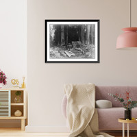 Historic Framed Print, Cedar bark cabin [in lumbering camp, Washington],  17-7/8" x 21-7/8"