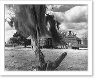 Two wooden buildings, view looking to North, vicinity of Raceland, Lafourche Parish, La., owned by Luke Toups, 27 Jan. 1951, Vintage Wall Art