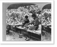 Under the cherry blossoms in the flowery kingdom, Japan, Historic Print