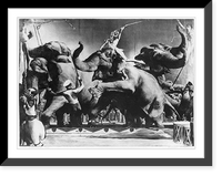 Historic Framed Print, Elephant act,  17-7/8" x 21-7/8"