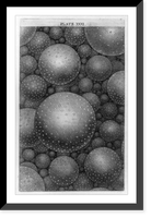3-dimensional series of spheres, Historic Reproduction