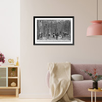 Historic Framed Print, Louisiana - Covington (vicinity) - Gathering turpentine in pine forest,  17-7/8" x 21-7/8"