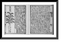 Chinese medicinal herb, with text Classic, Antique Wall Art