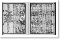Chinese medicinal herb, with text Classic, Antique Wall Art