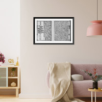Chinese medicinal herb, with text Classic, Antique Wall Art