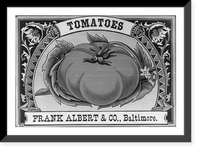 Historic Framed Print, Tomatoes - Frank Albert & Co., Baltimore,  17-7/8" x 21-7/8"