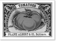 Historic Framed Print, Tomatoes - Frank Albert & Co., Baltimore,  17-7/8" x 21-7/8"