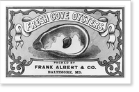 Fresh cove oysters, Frank Albert & Co., Baltimore, Vintage Print