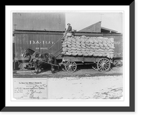 Record load of wheat, Vintage Print
