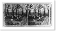 Historic Framed Print, National Cemetery, Arlington, Va.,  17-7/8" x 21-7/8"