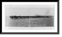 12 horses pulling 5 wagons, which are connected, Antique Poster