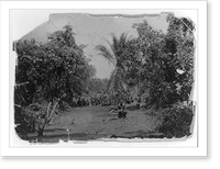 Women clearing path through forest, Africa, Antique Poster