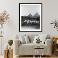 Historic Framed Print, [Scene on the plains, before 1924, Egypt. Flock of sheep in foregrd.; village and pyramids in backgrd.],  17-7/8" x 21-7/8"