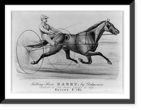 Vintage Photo Print - Trotting horse Darby, 1879 - Antique Wall Decor Print
