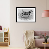 Vintage Photo Print - Trotting horse Darby, 1879 - Antique Wall Decor Print