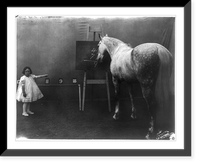 See what Prince will do for me - Prince Albert, Cuthbertson famous educated horse, Antique Wall Art
