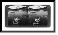 World's Fair, St. Louis Mo.: From lily pond near Agriculture Bldg., N.E. to Observation Wheel (250 ft. diam.), Vintage Poster