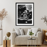 Historic Framed Print, [Nude, back view from shoulders to knees],  17-7/8" x 21-7/8"