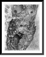 Historic Framed Print, [Nude, front view from shoulders to knees, in water],  17-7/8" x 21-7/8"