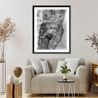 Historic Framed Print, [Nude, front view from shoulders to knees, in water],  17-7/8" x 21-7/8"