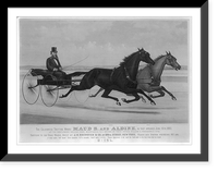 The celebrated trotting mares Maud S. and Aldine, as they appeared June 15th 1883: At the gentlemen's driving park, Morrisania, N.Y. driven by their owner, William H. Vanderbilt, Esq. Antique Wall