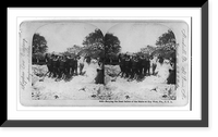 Historic Framed Print, Burying the dead sailors of the MAINE at Key West, Fla.,  17-7/8" x 21-7/8"