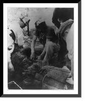 Vintage Photo Print - CCC boys filling work boxes with young trees