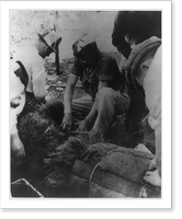Vintage Photo Print - CCC boys filling work boxes with young trees