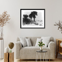 Historic Framed Print, Palmettos on Isle of Palms, Charleston, South Carolina,  17-7/8" x 21-7/8"