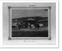 Horses of the Imperial Stud Farm - 3, Antique Poster